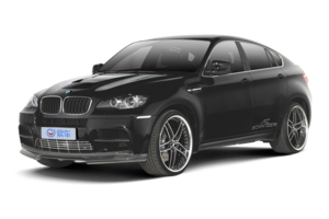 AC Schnitzer X6дSUVͼ